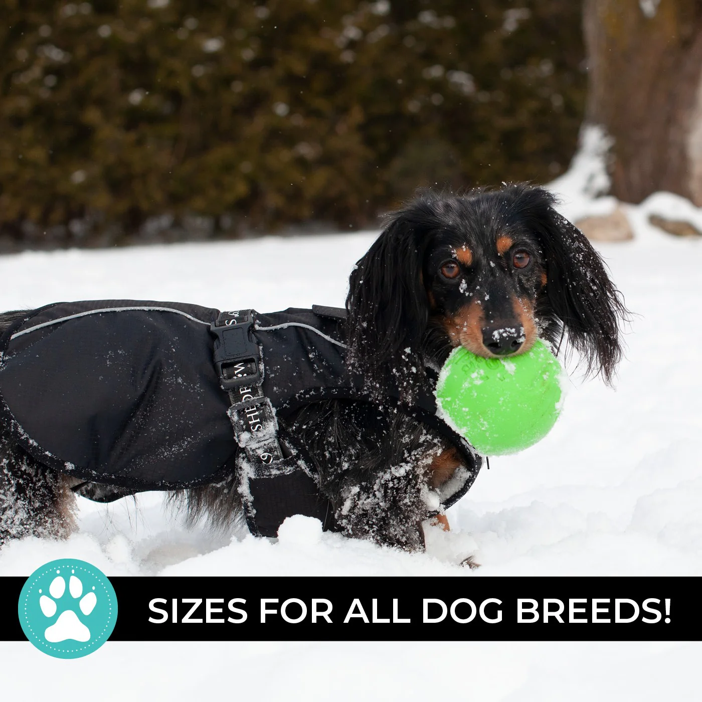 Shedrow K9 Chinook Dog Coat - Image 39
