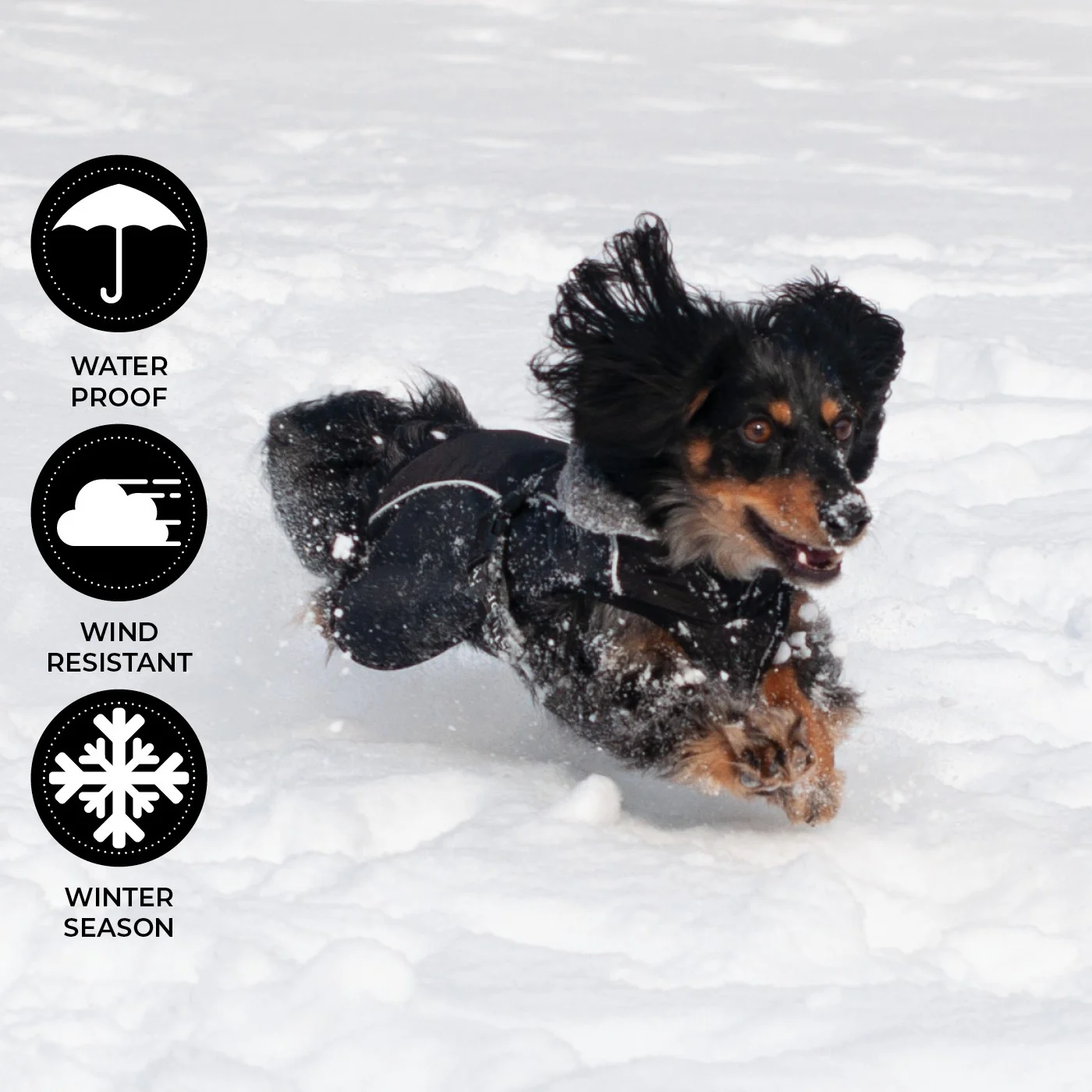 Shedrow K9 Chinook Dog Coat - Image 40