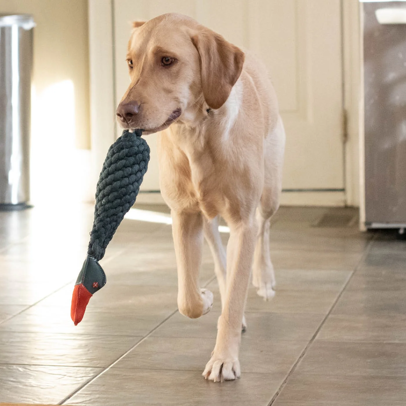 Shedrow K9 Duck Rope & Water Bottle Dog Toy - Image 5