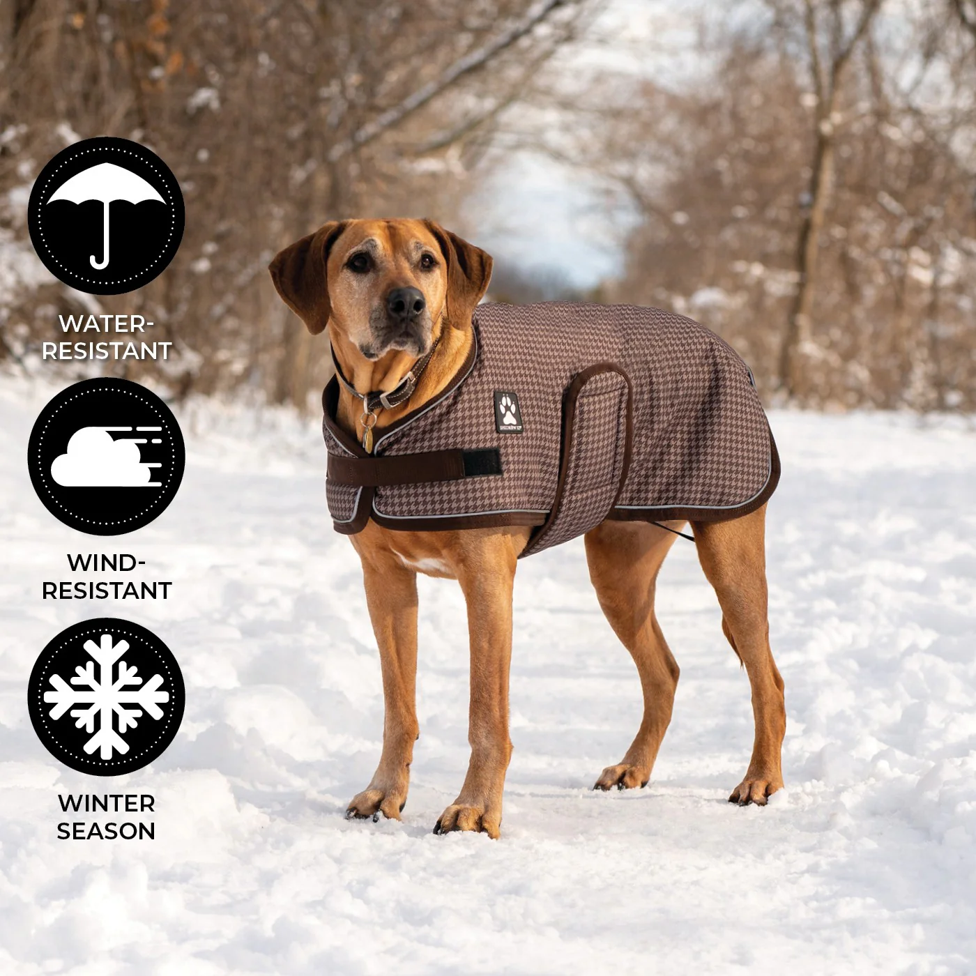 Shedrow K9 Expedition Dog Coat - Image 3