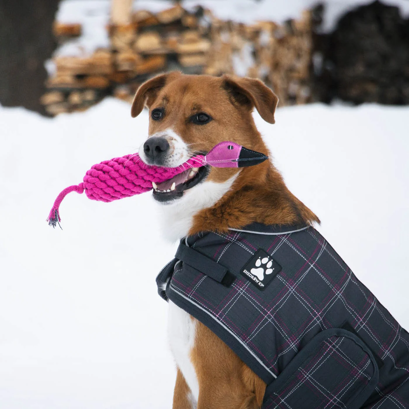 Shedrow K9 Flamingo Rope & Water Bottle Dog Toy - Image 4