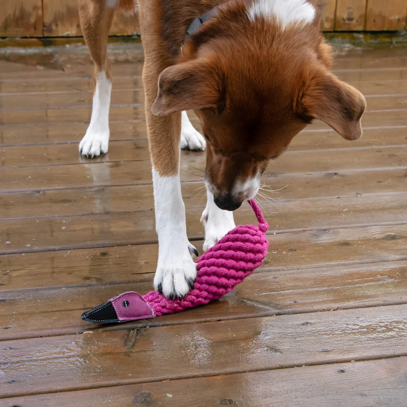 Shedrow K9 Flamingo Rope & Water Bottle Dog Toy - Image 5
