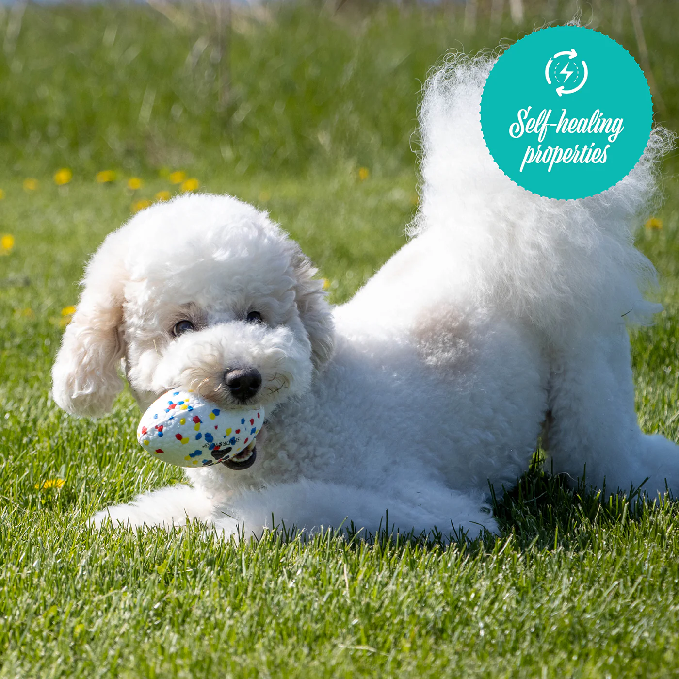 Shedrow K9 FlexiPlay Football - Image 15