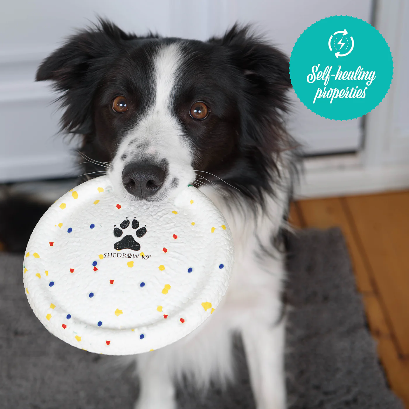 Shedrow K9 FlexiPlay Flying Disc - Image 10