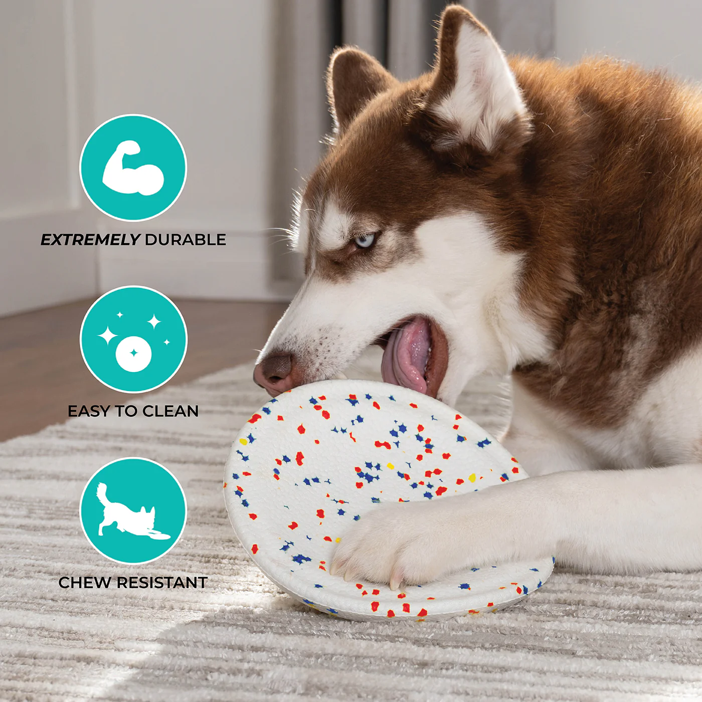 Shedrow K9 FlexiPlay Flying Disc - Image 3