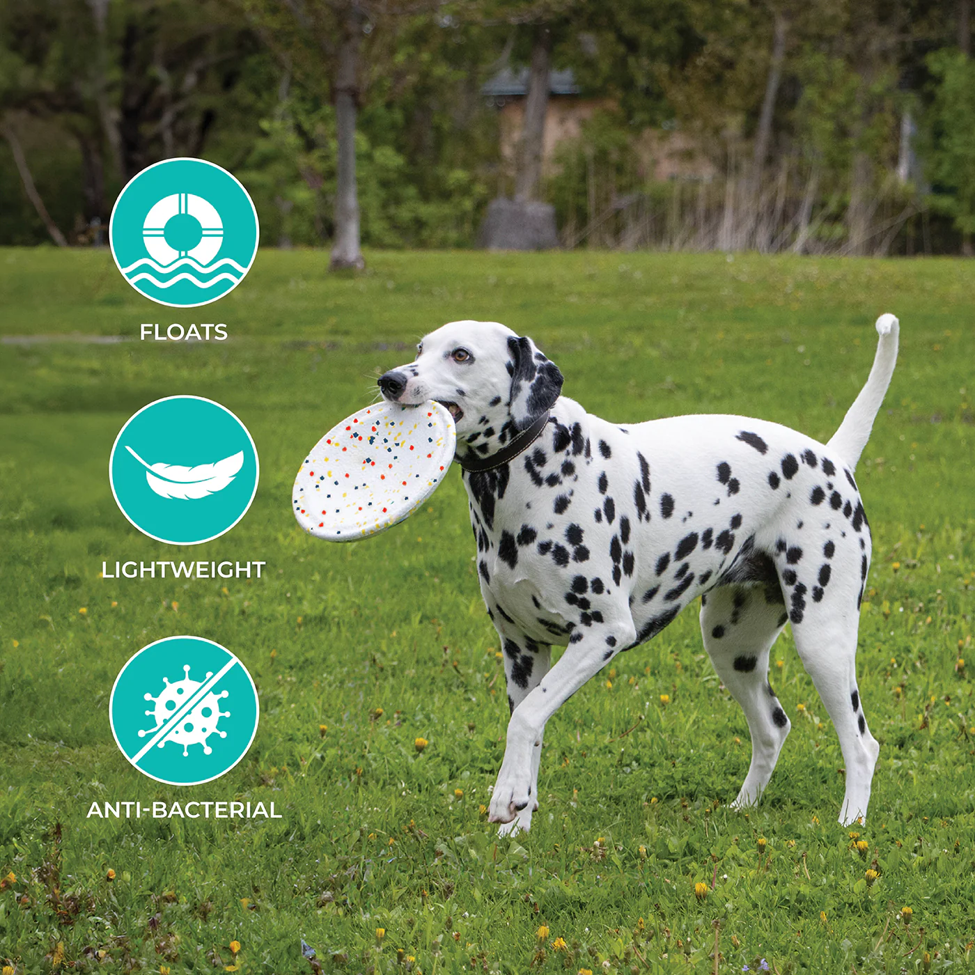 Shedrow K9 FlexiPlay Flying Disc - Image 4