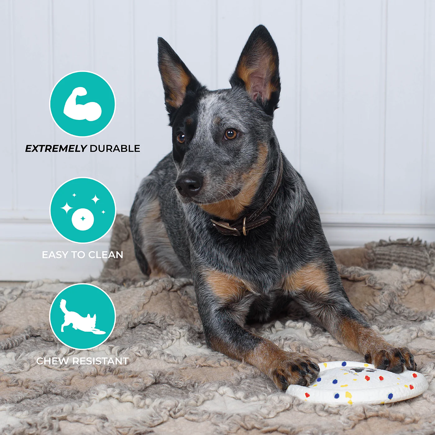 Shedrow K9 FlexiPlay Flying Disc - Image 8