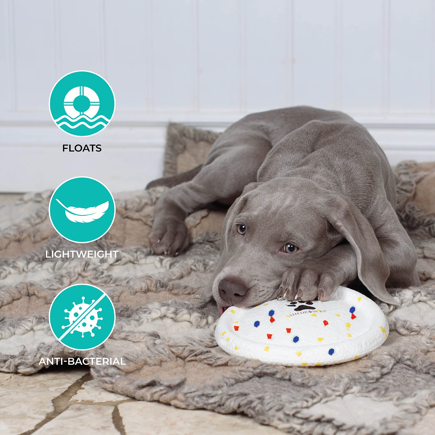 Shedrow K9 FlexiPlay Flying Disc - Image 9