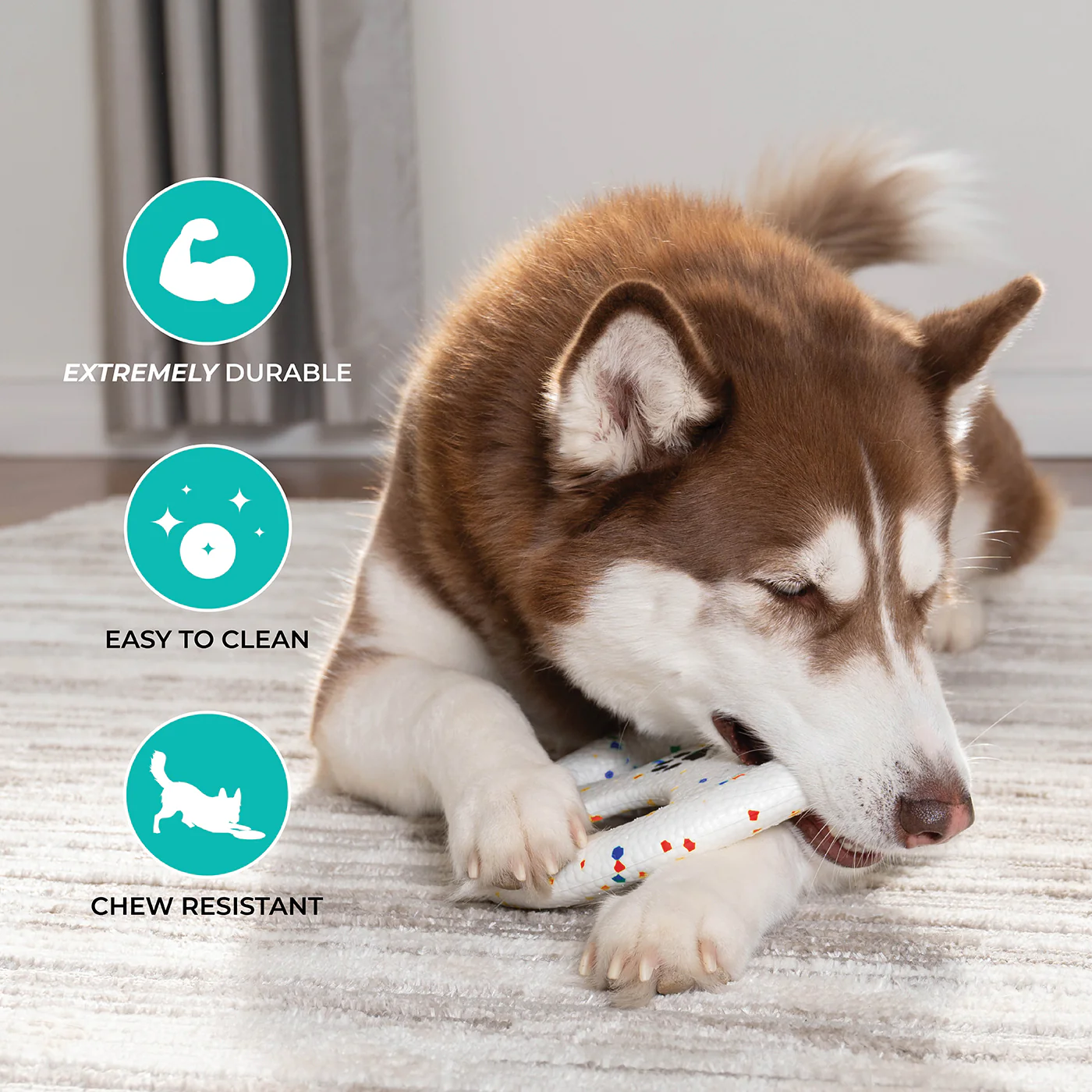 Shedrow K9 FlexiPlay Tug N' Toss Flyer - Image 3