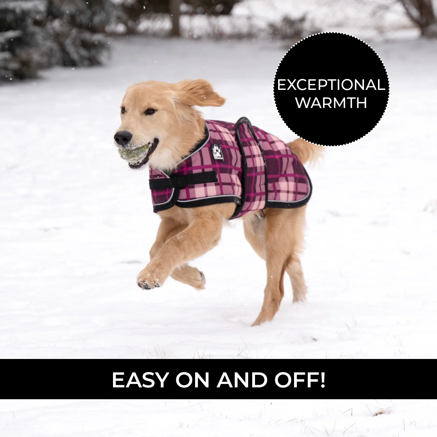 Shedrow K9 Glacier Dog Coat - Image 10
