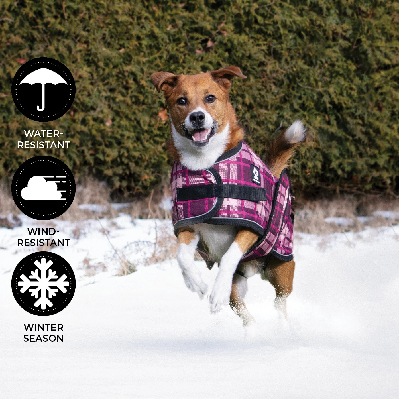 Shedrow K9 Glacier Dog Coat - Image 11