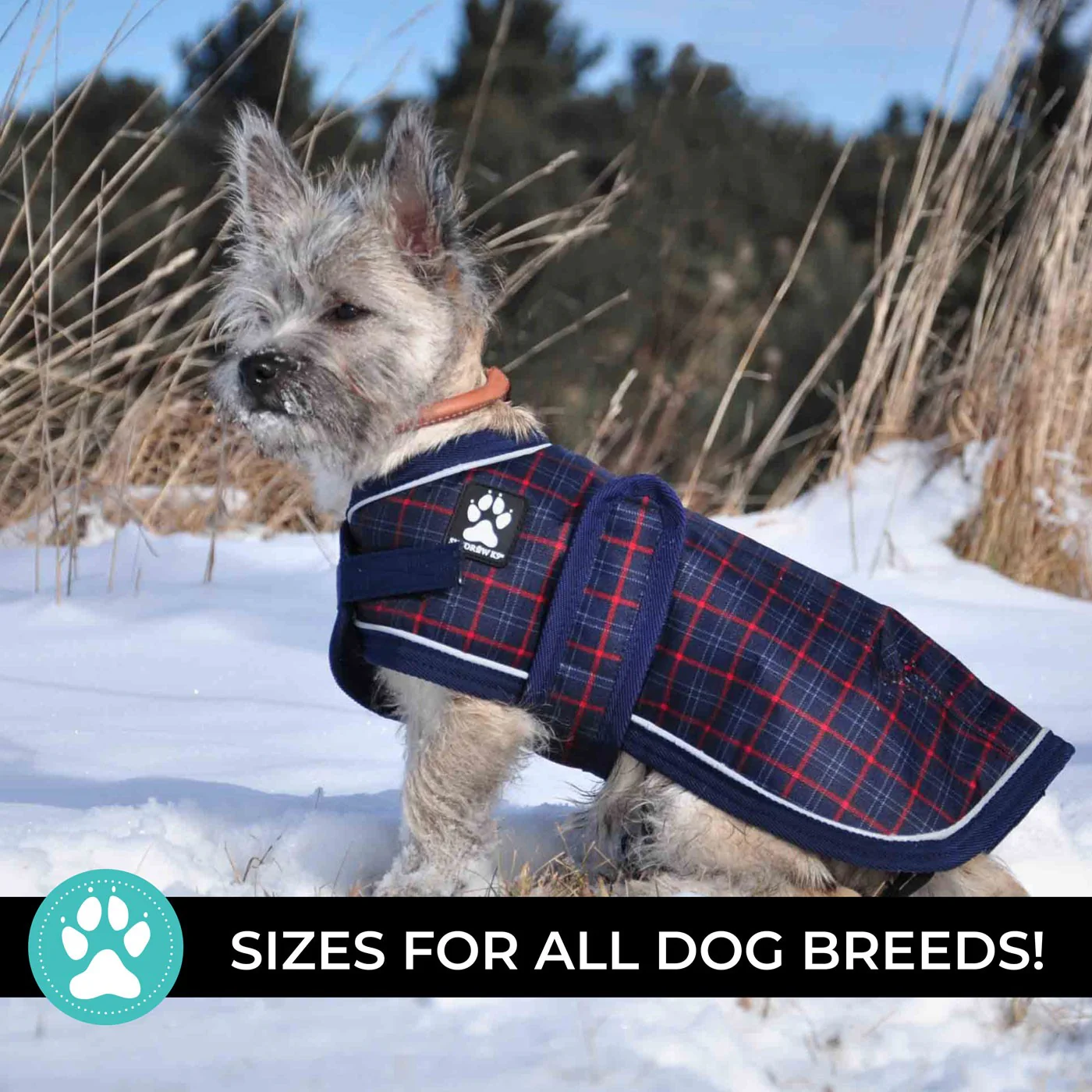 Shedrow K9 Glacier Dog Coat - Image 3