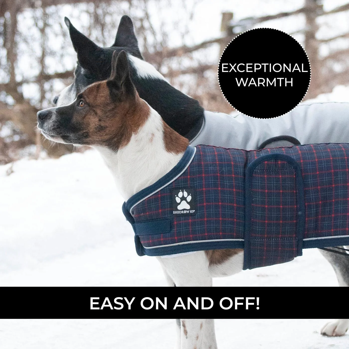 Shedrow K9 Glacier Dog Coat - Image 4