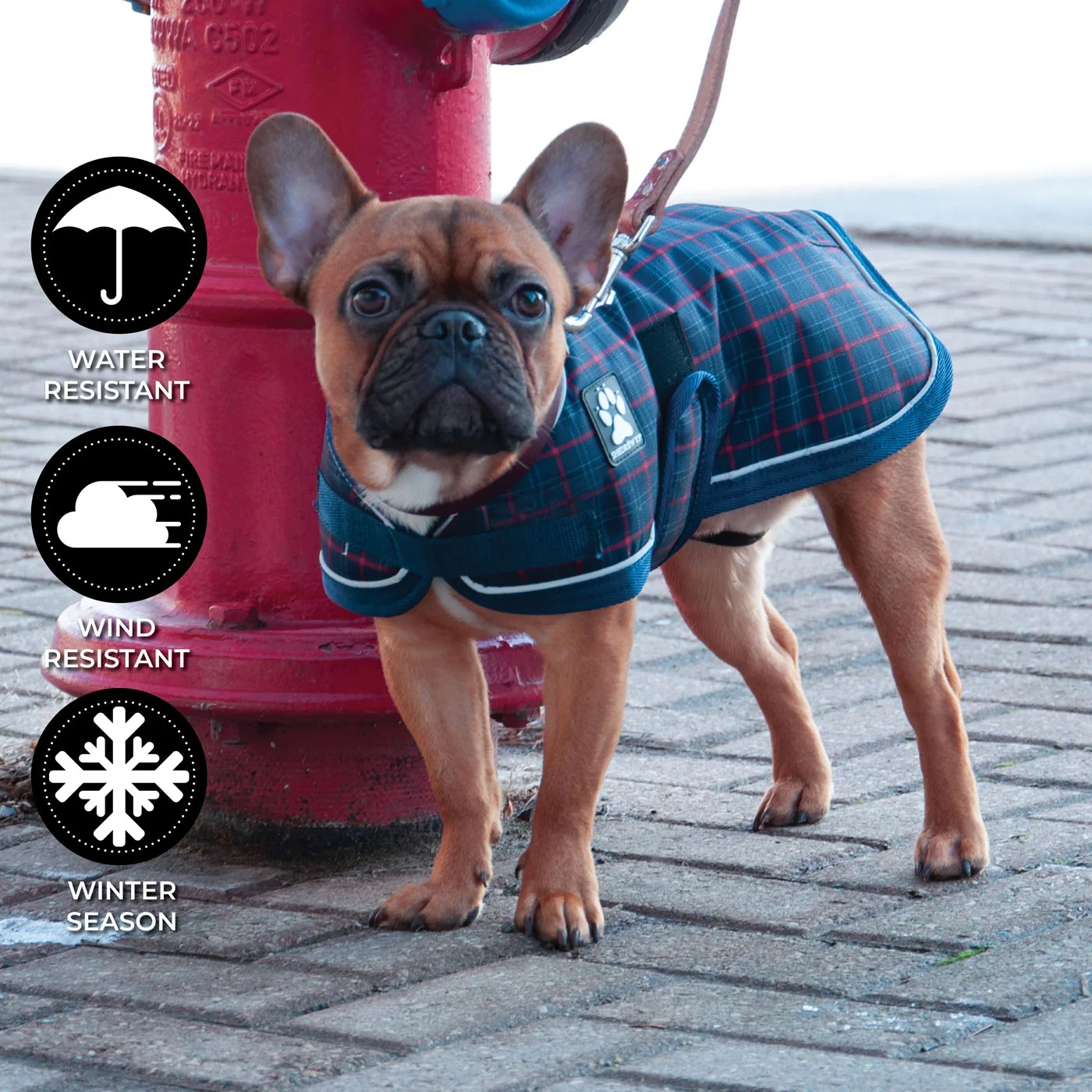 Shedrow K9 Glacier Dog Coat - Image 6