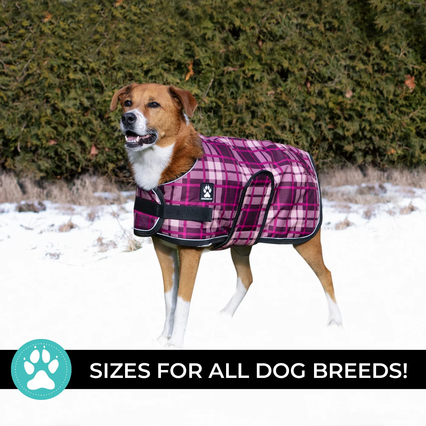 Shedrow K9 Glacier Dog Coat - Image 9