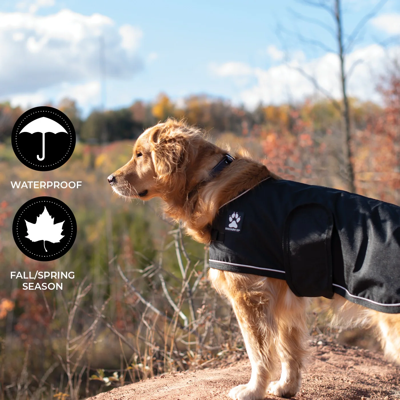 Shedrow K9 Harbour 2.0 Rain Coat - Image 2