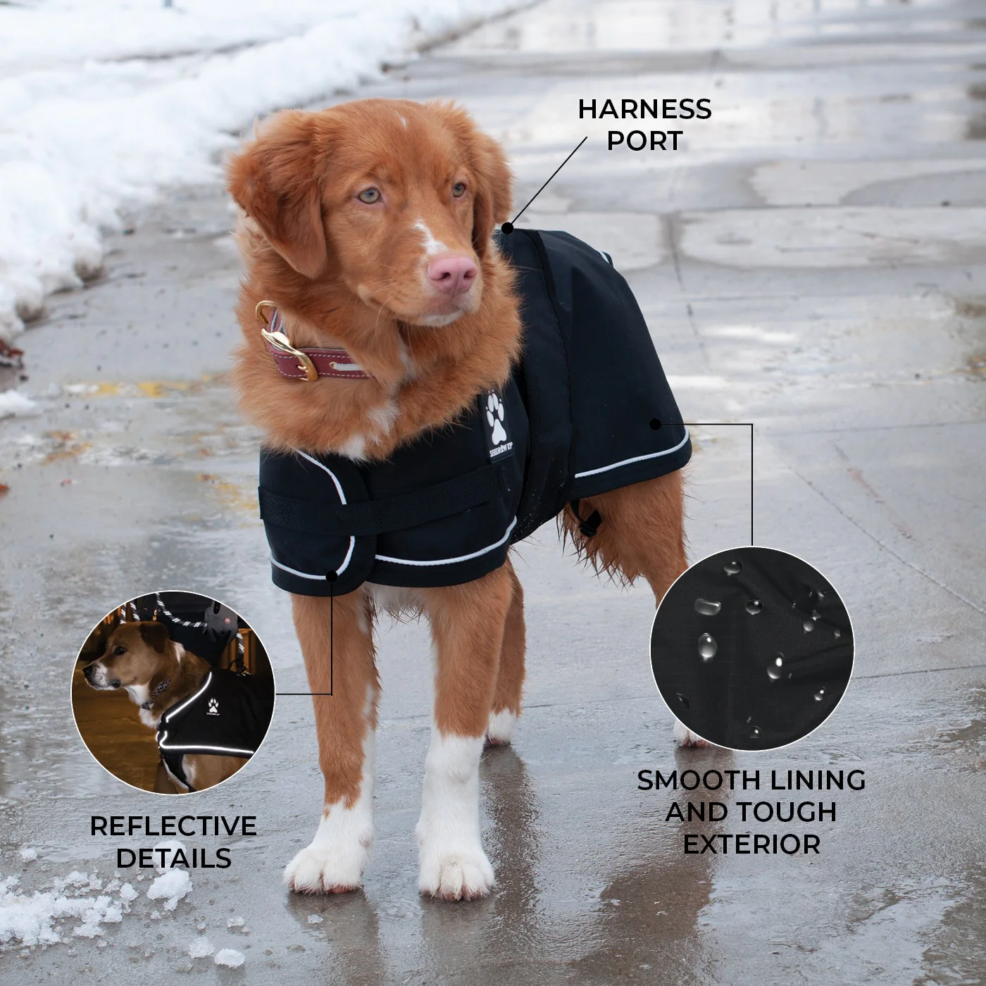 Shedrow K9 Harbour 2.0 Rain Coat - Image 3