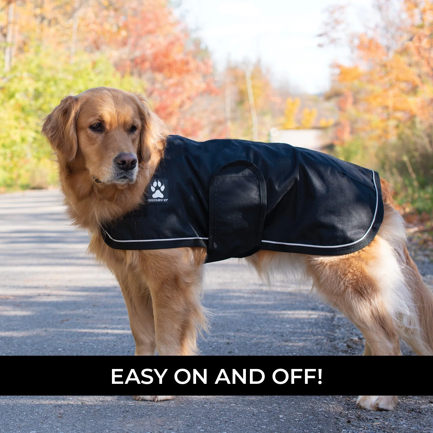 Shedrow K9 Harbour 2.0 Rain Coat - Image 4