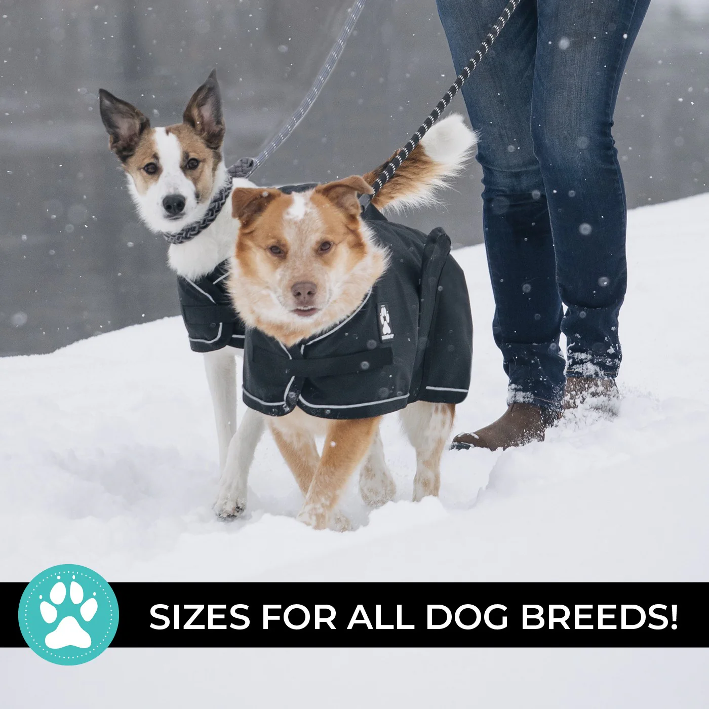 Shedrow K9 Harbour 2.0 Rain Coat - Image 5