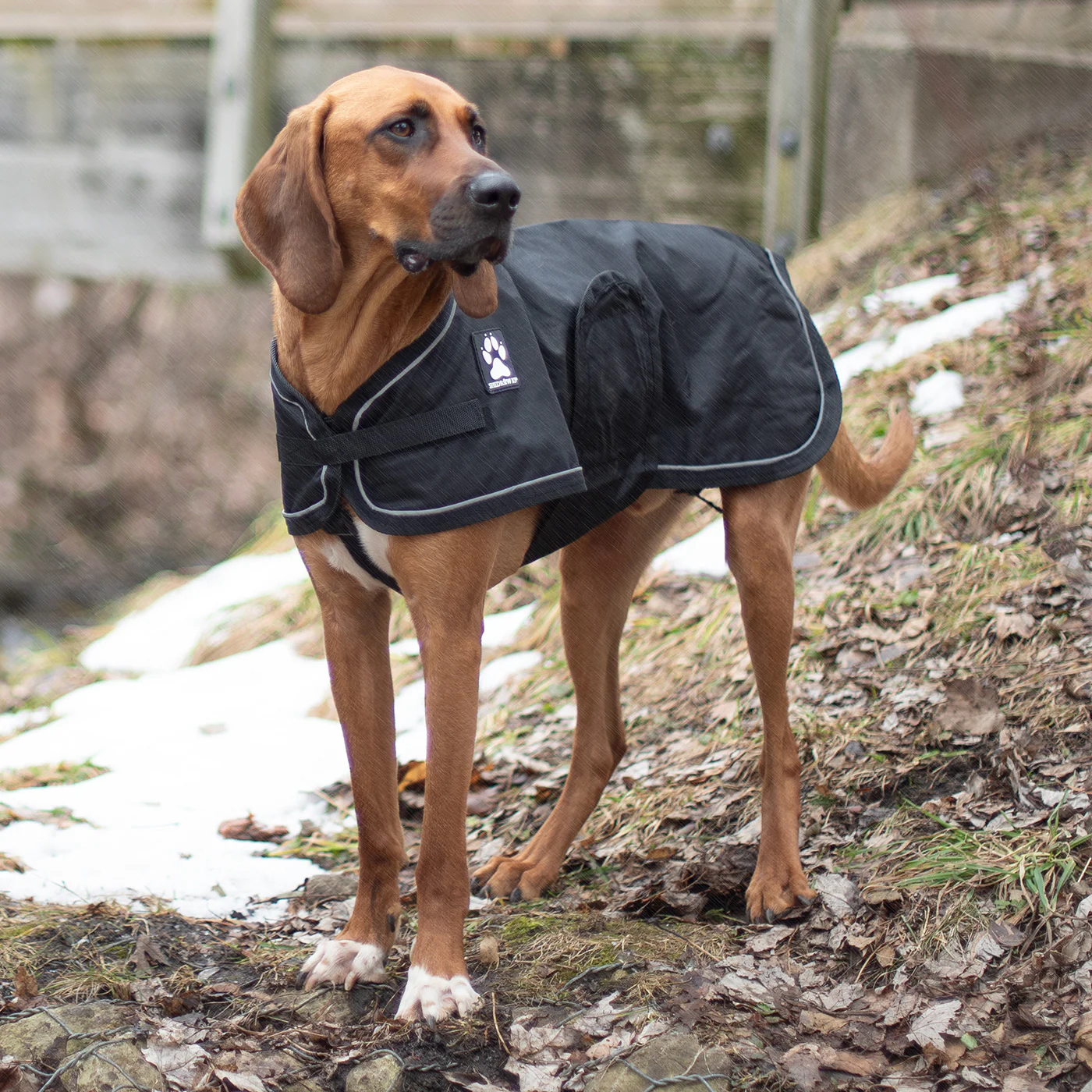 Shedrow K9 Harbour 2.0 Rain Coat - Image 7