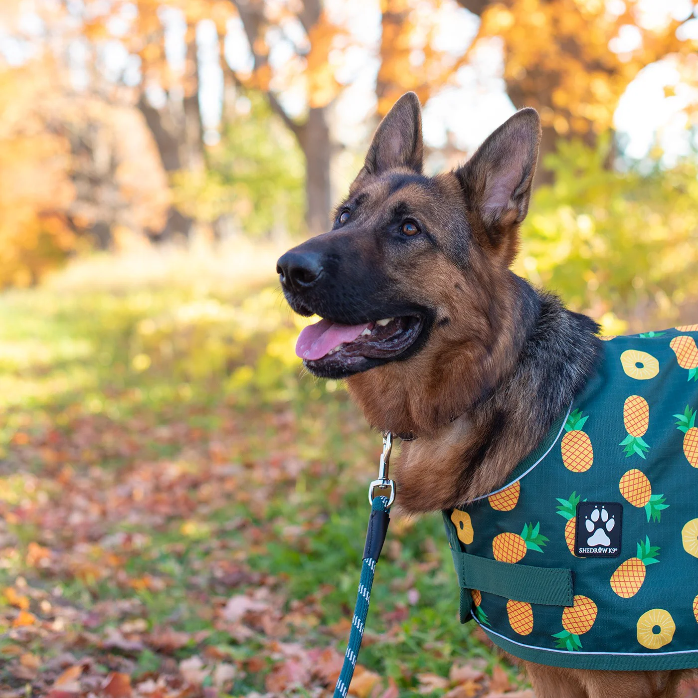 Shedrow K9 Harbour Rain Coat - Image 10