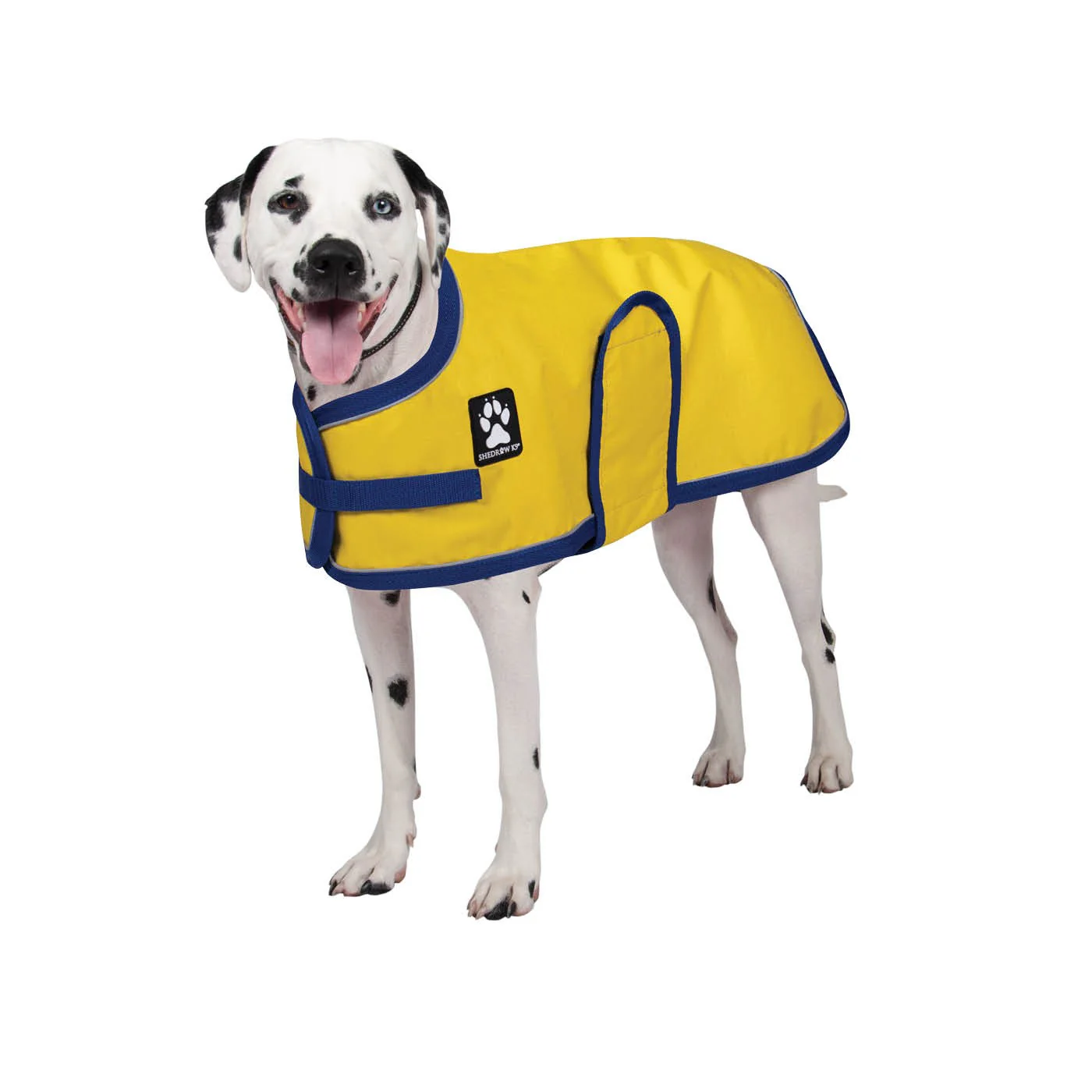 Shedrow K9 Harbour Rain Coat - Image 13