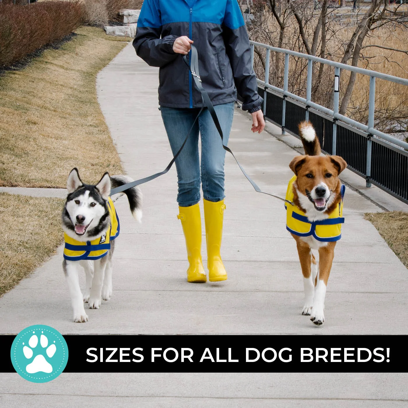 Shedrow K9 Harbour Rain Coat - Image 15