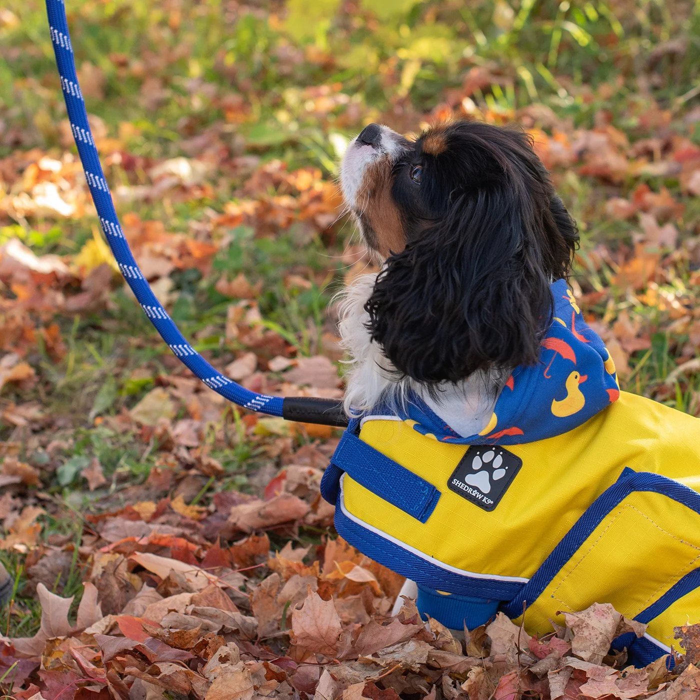 Shedrow K9 Harbour Rain Coat - Image 17