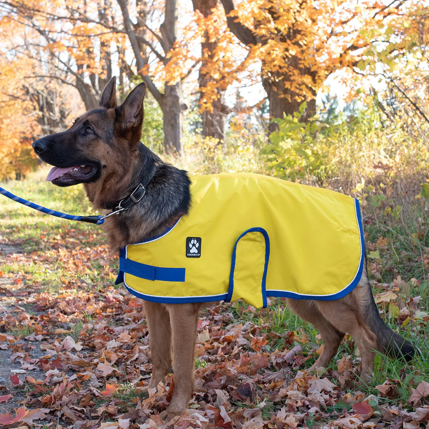 Shedrow K9 Harbour Rain Coat - Image 18