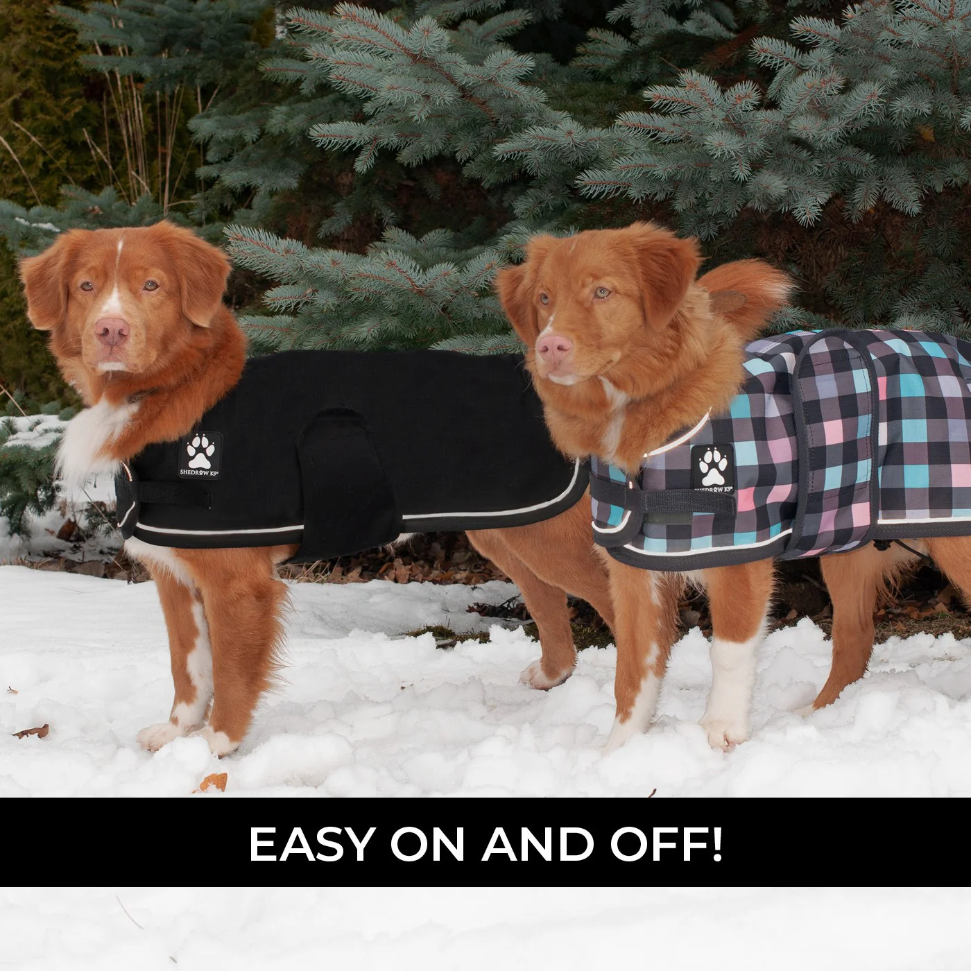 Shedrow K9 Harbour Rain Coat - Image 4