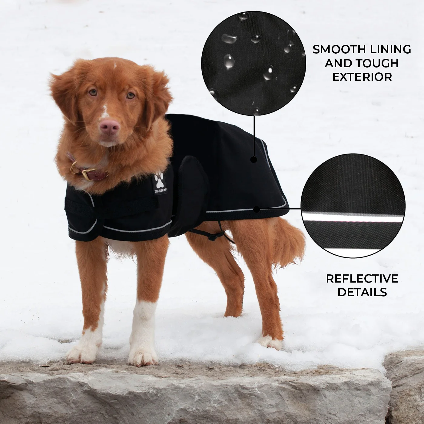Shedrow K9 Harbour Rain Coat - Image 5