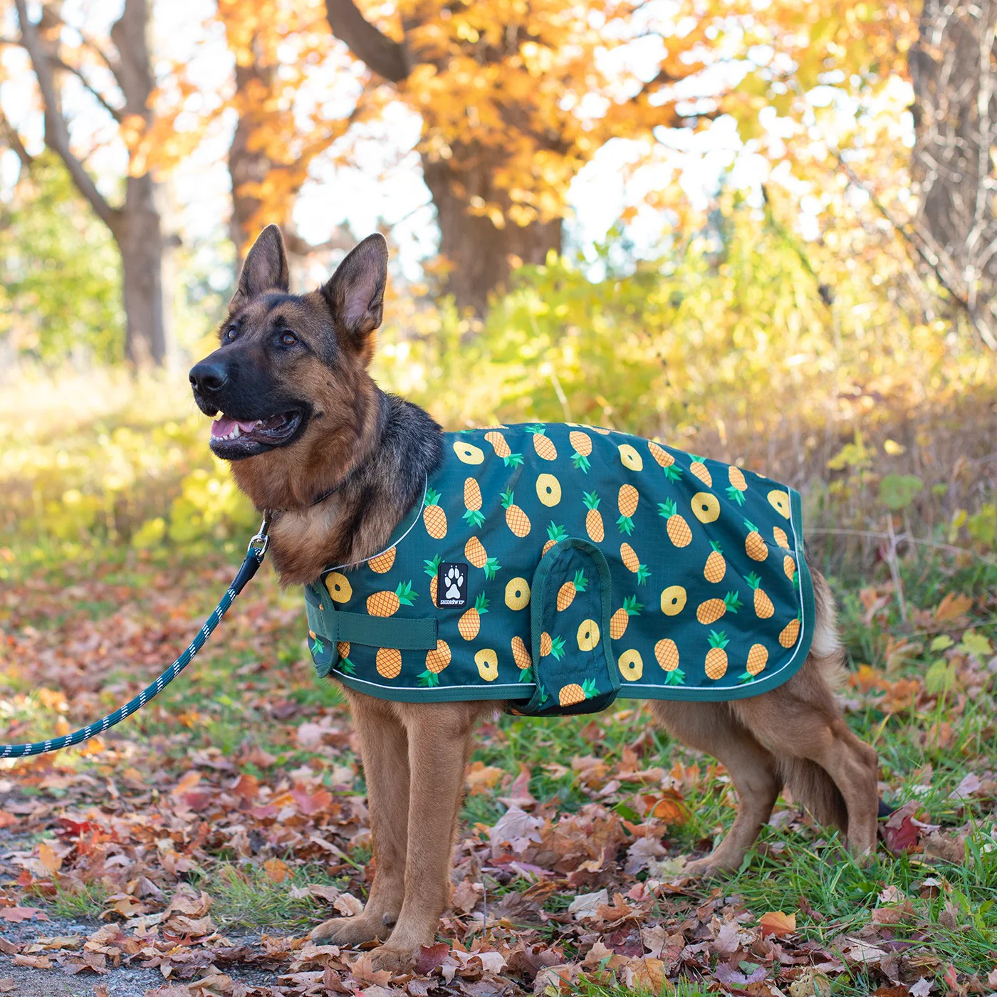 Shedrow K9 Harbour Rain Coat - Image 9