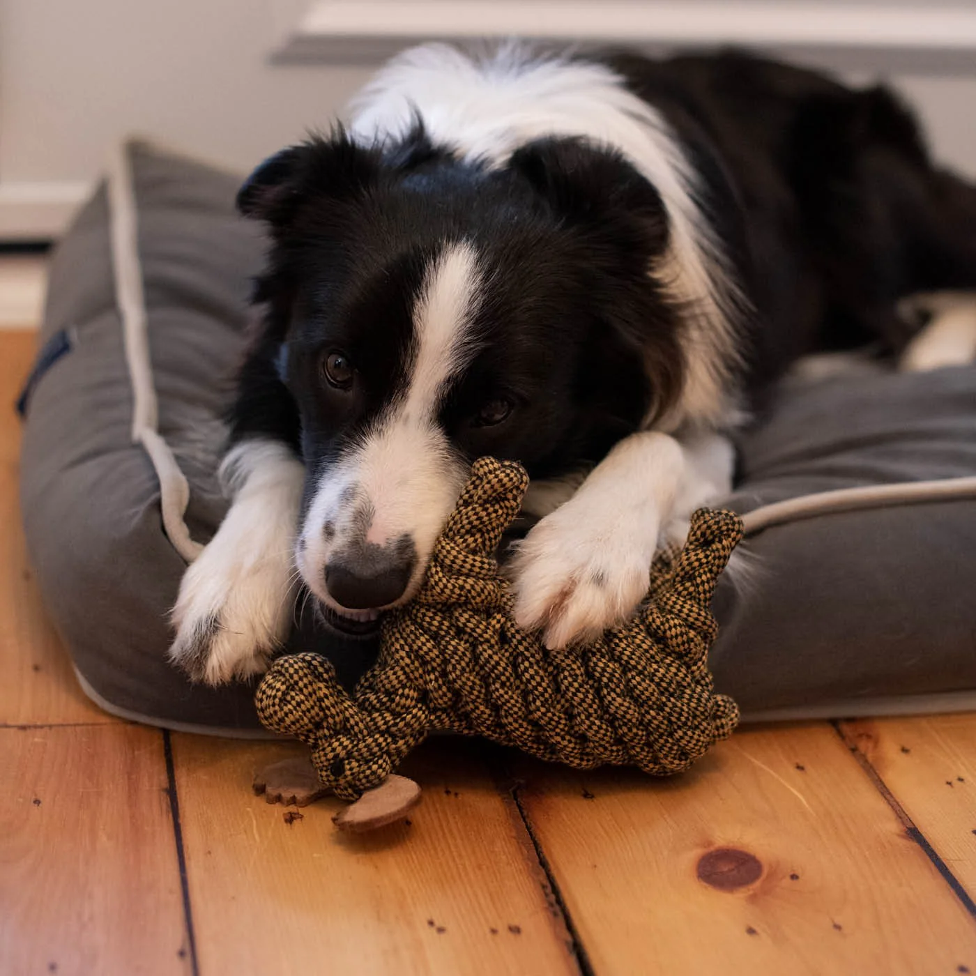 Shedrow K9 Moose Rope Dog Toy - Image 6