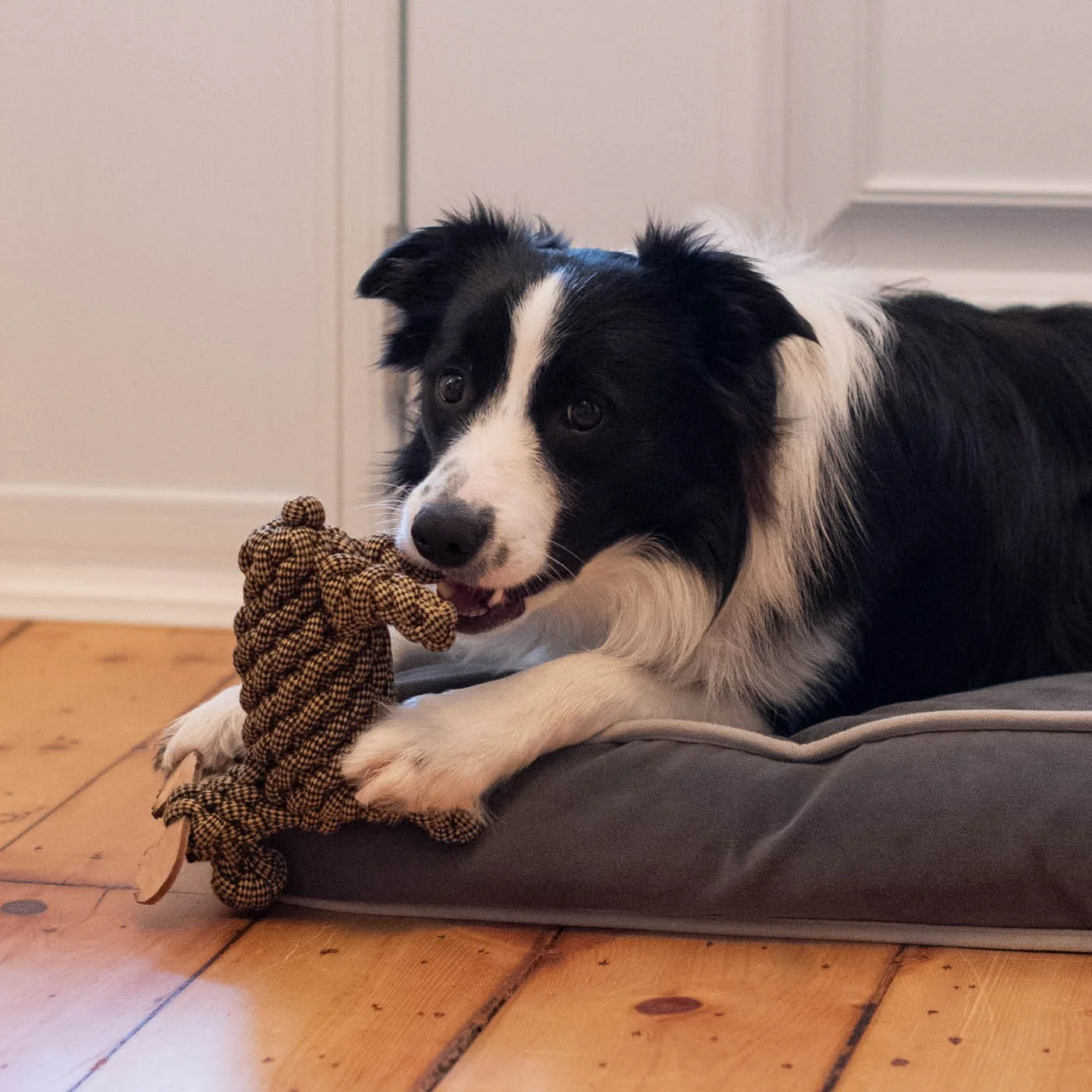 Shedrow K9 Moose Rope Dog Toy - Image 7