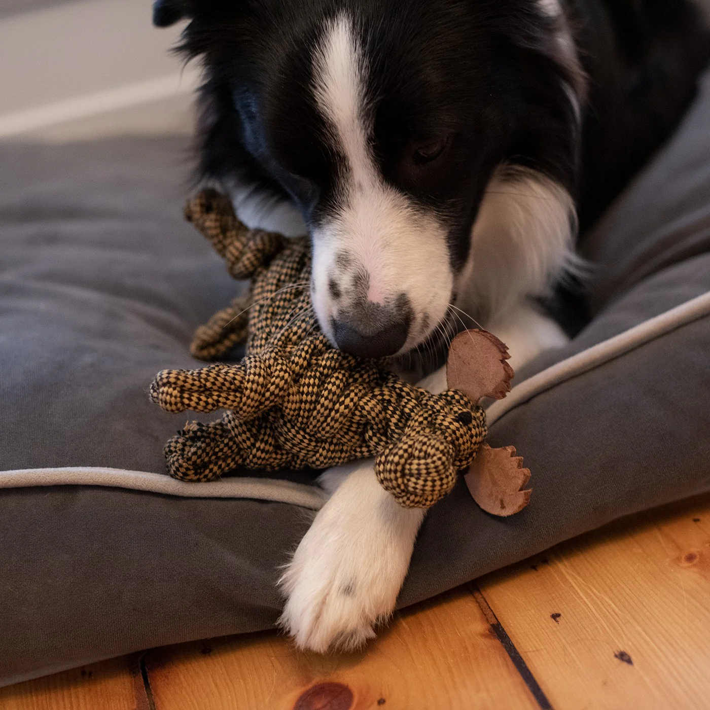 Shedrow K9 Moose Rope Dog Toy - Image 8