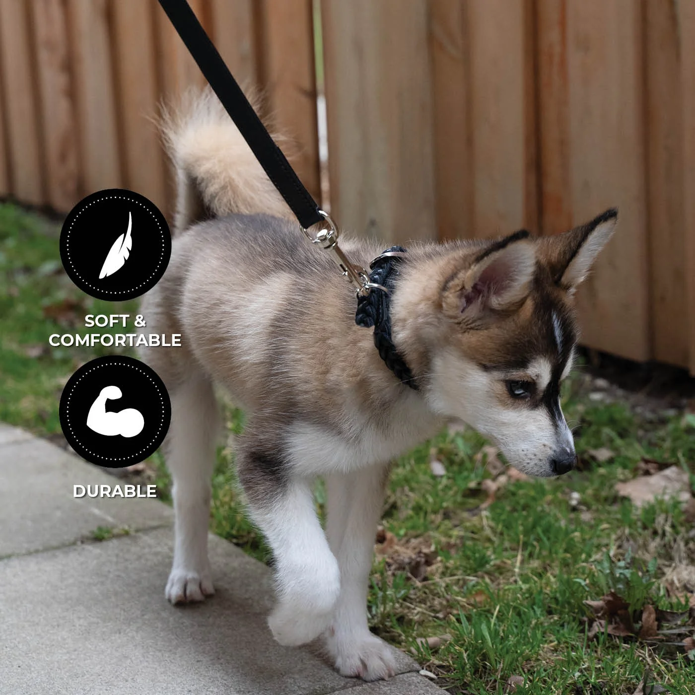 Shedrow K9 Rideau Braided Rope & Leather Leash - Image 2