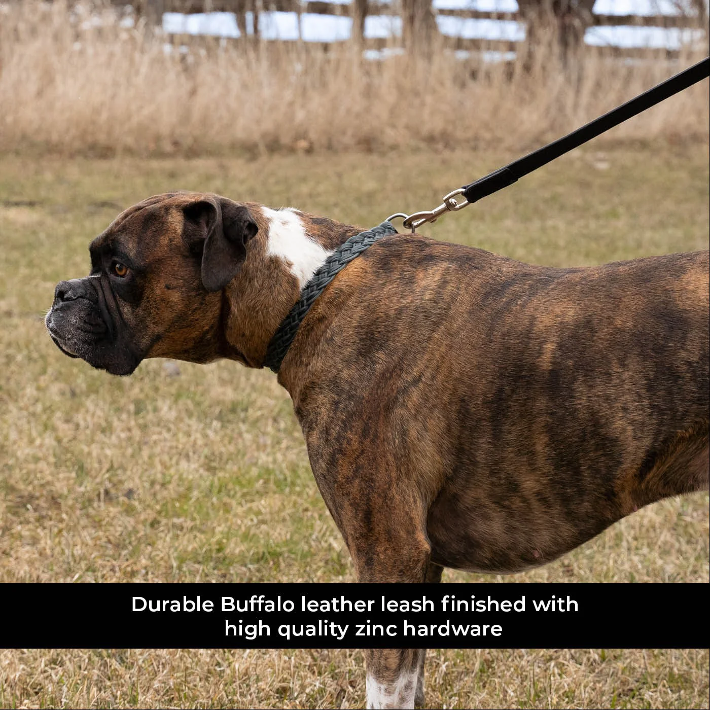 Shedrow K9 Rideau Braided Rope & Leather Leash - Image 8