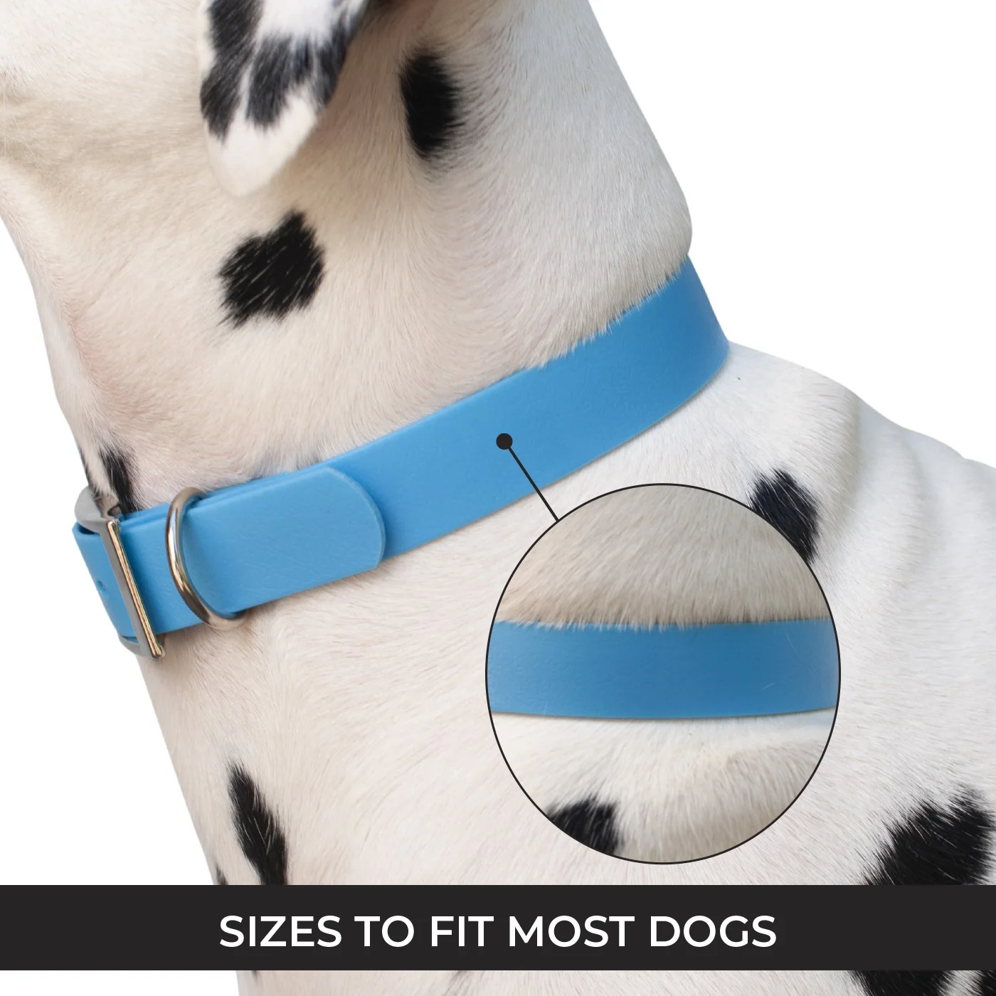 Shedrow K9 Tofino II Waterproof Collar - Image 11