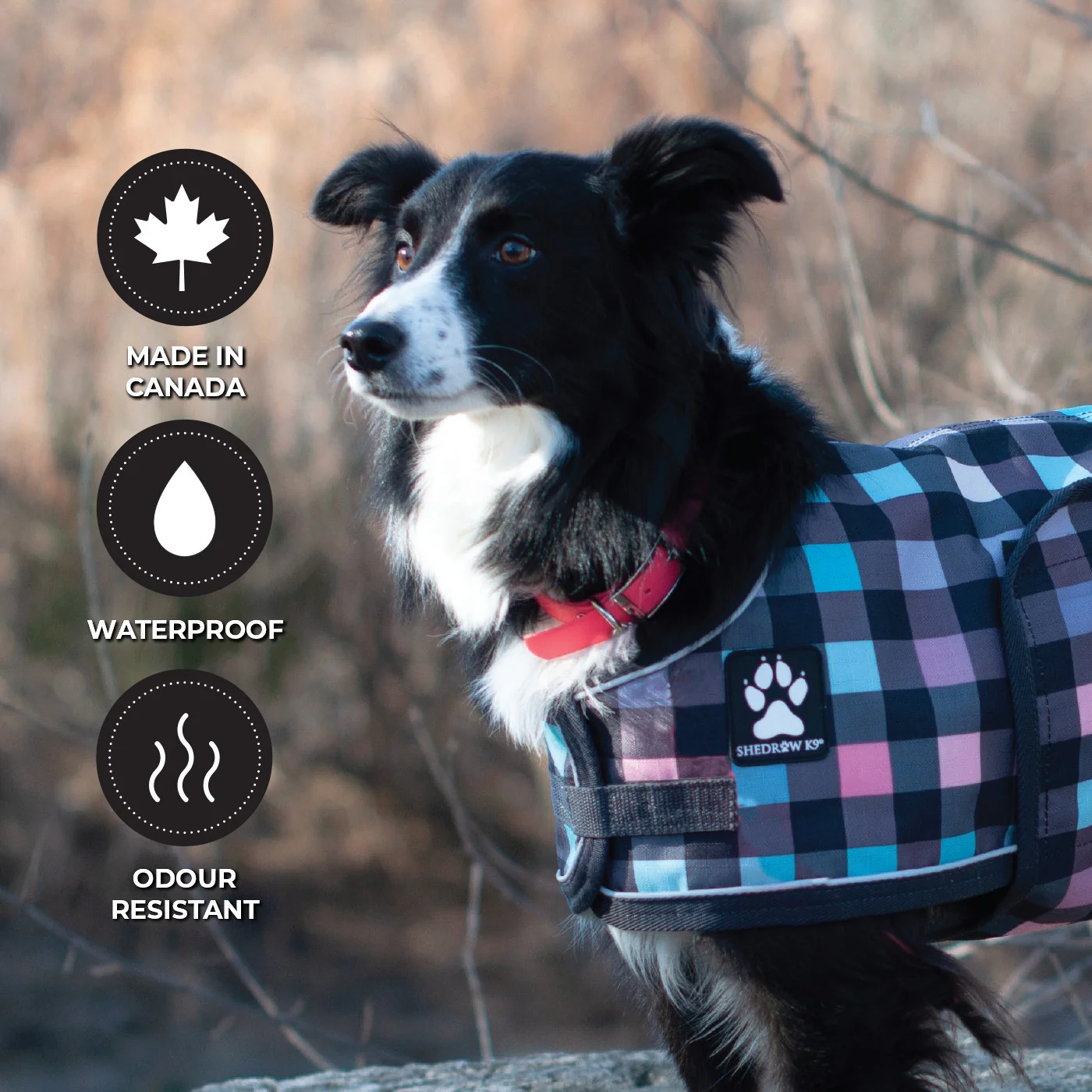 Shedrow K9 Tofino II Waterproof Collar - Image 12
