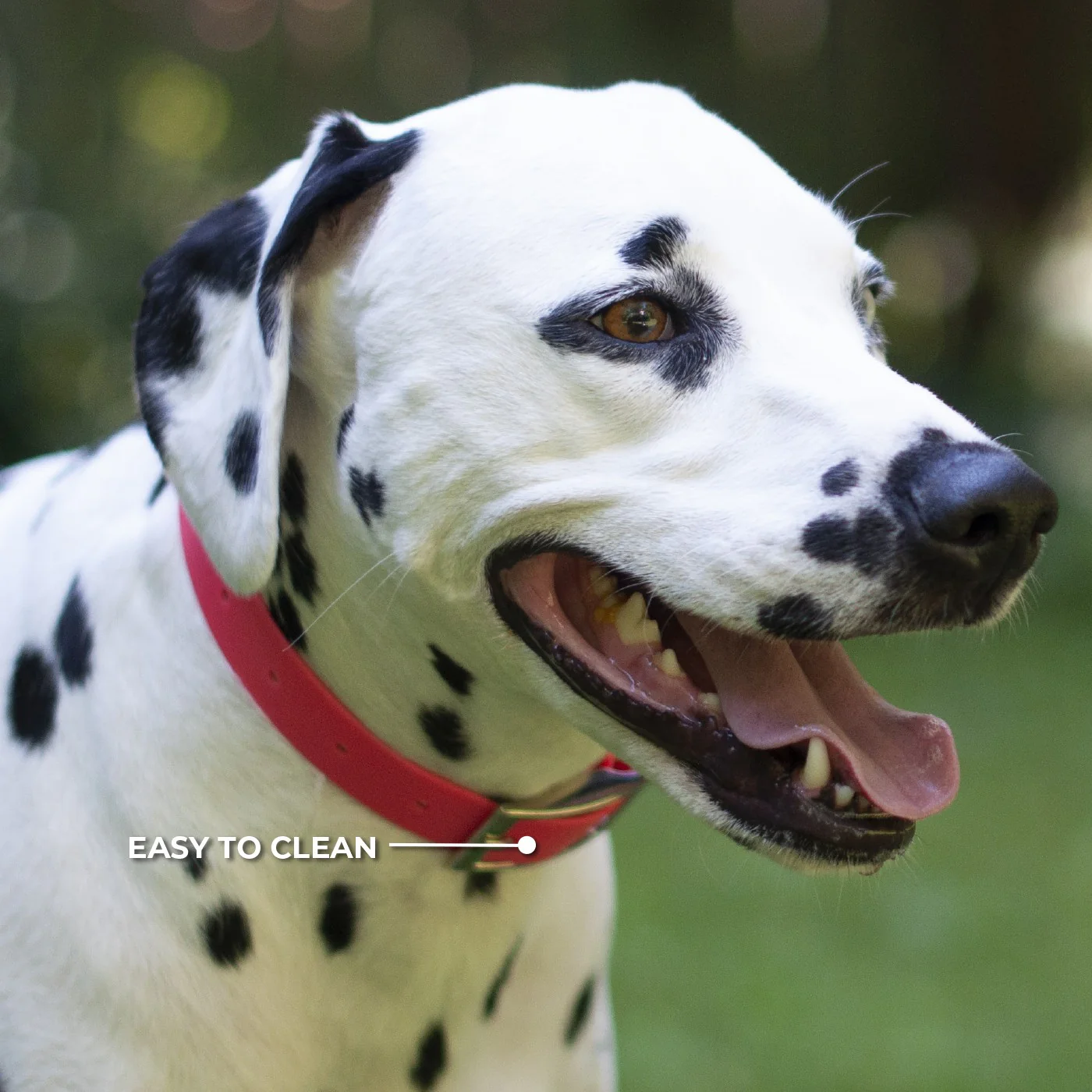 Shedrow K9 Tofino II Waterproof Collar - Image 15