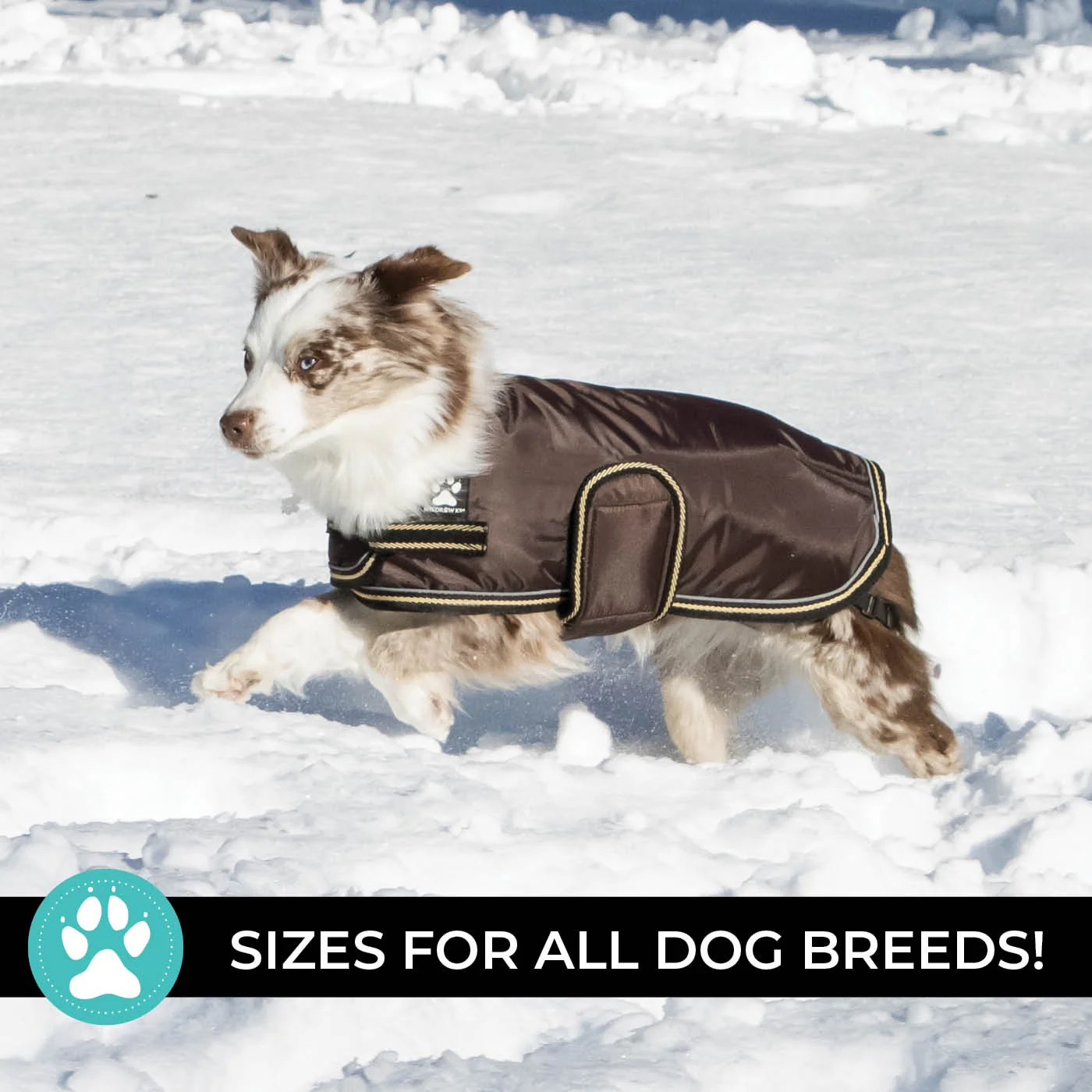 Shedrow K9 Tundra Dog Coat - Image 12