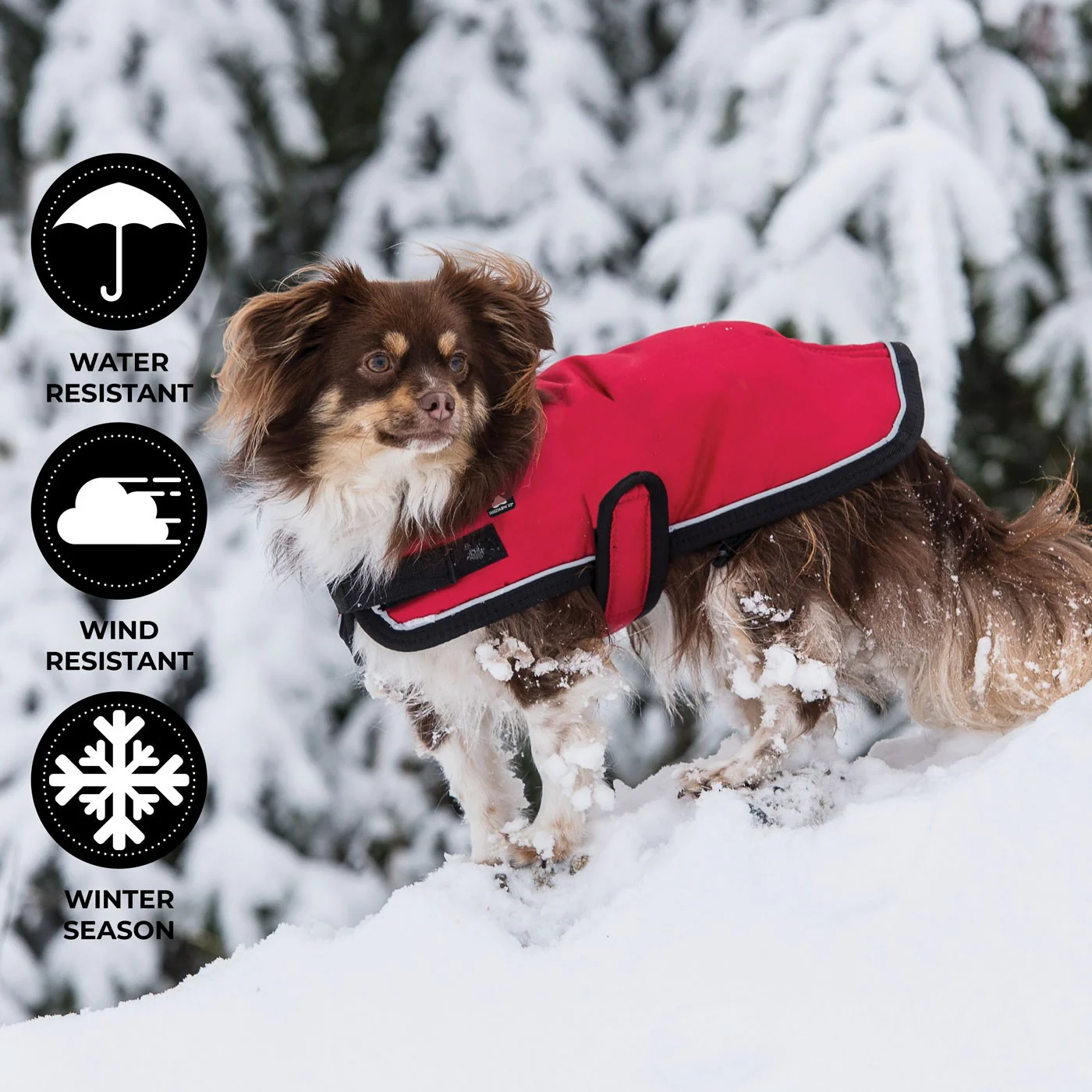 Shedrow K9 Tundra Dog Coat - Image 16