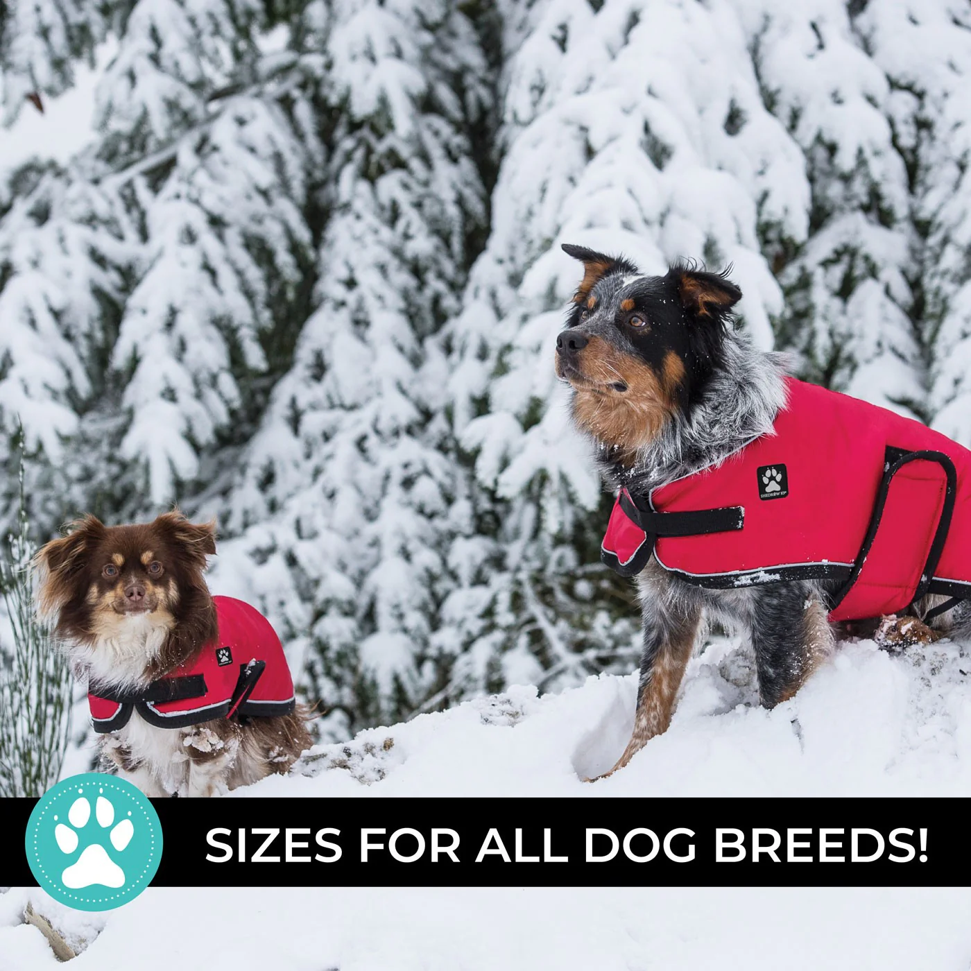 Shedrow K9 Tundra Dog Coat - Image 18