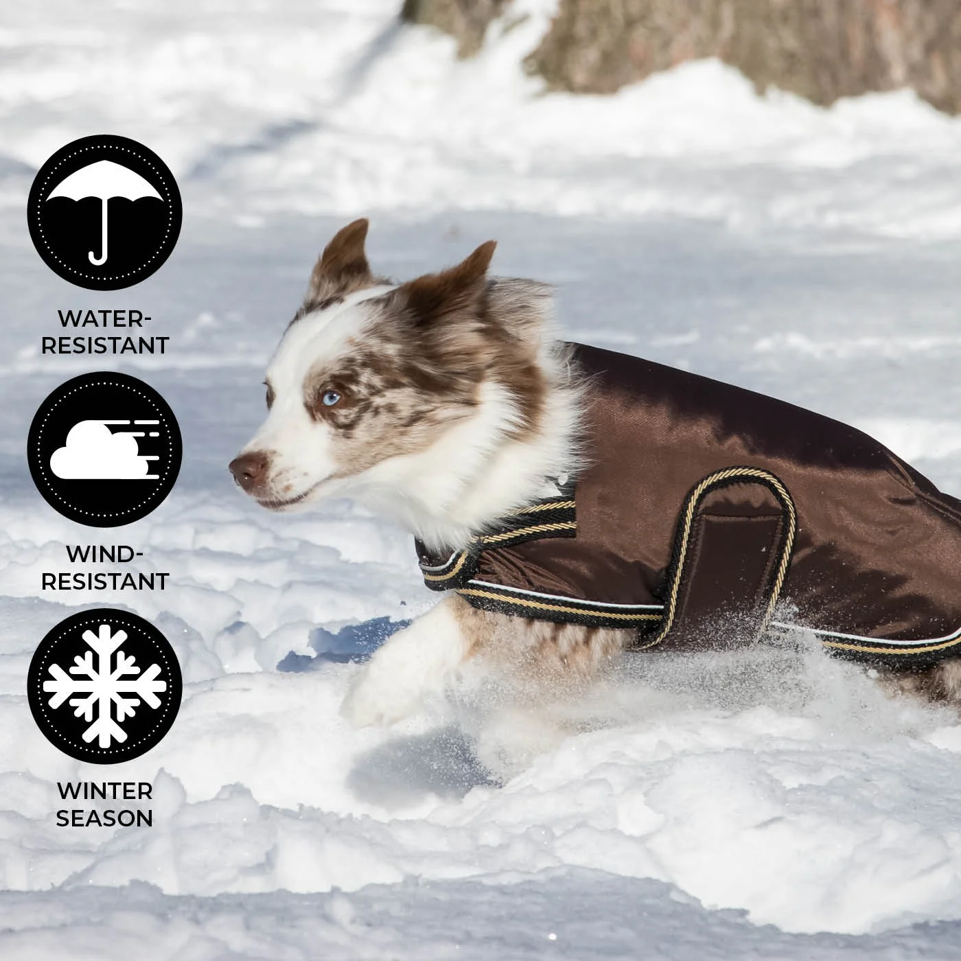 Shedrow K9 Tundra Dog Coat - Image 9