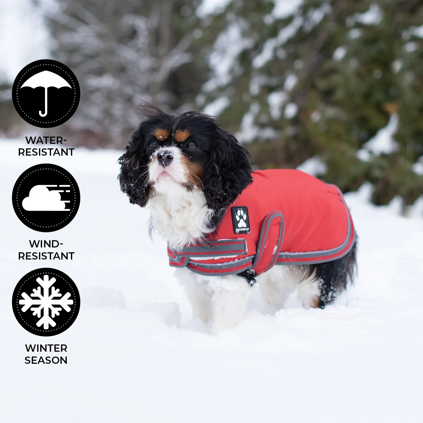 Shedrow K9 Vail Dog Coat - Image 15