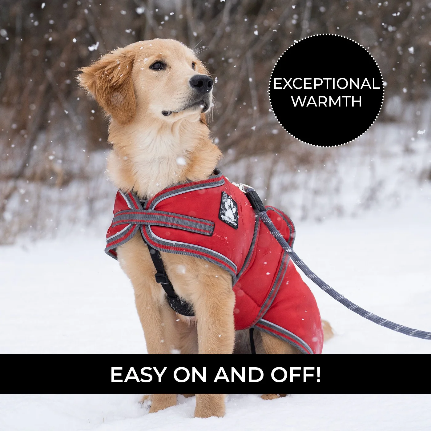 Shedrow K9 Vail Dog Coat - Image 17