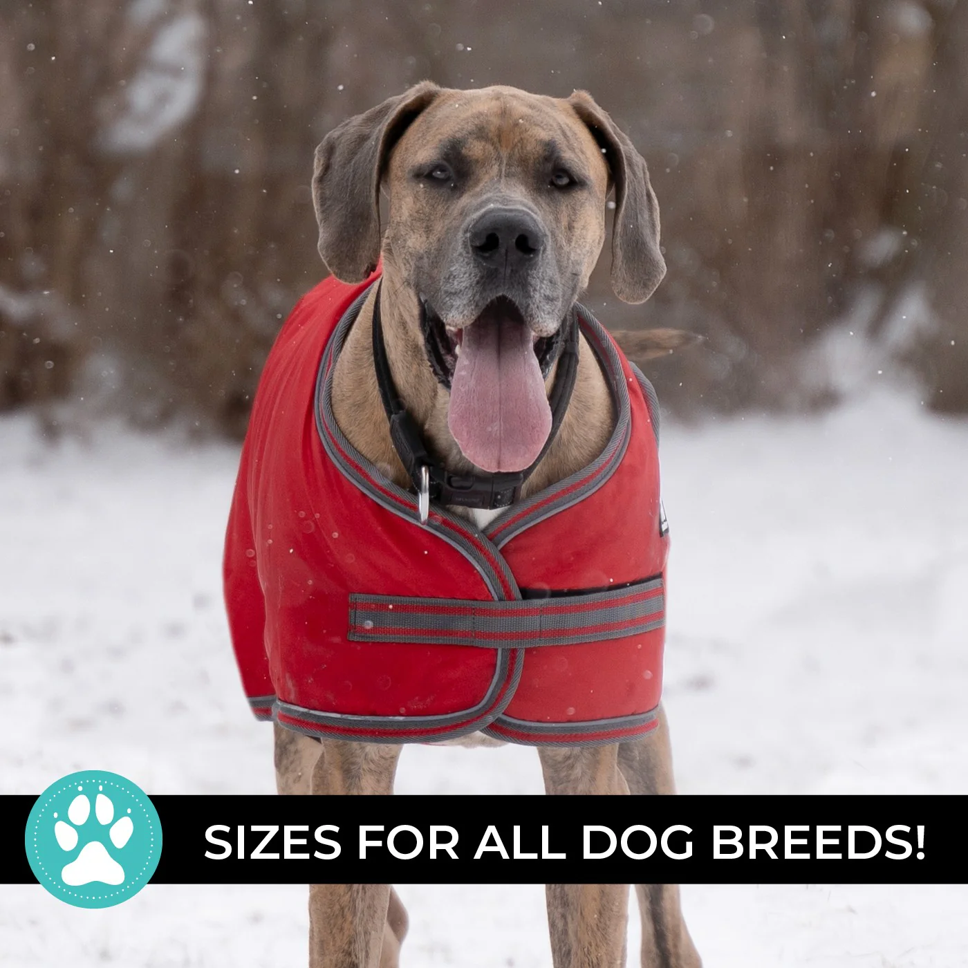 Shedrow K9 Vail Dog Coat - Image 18