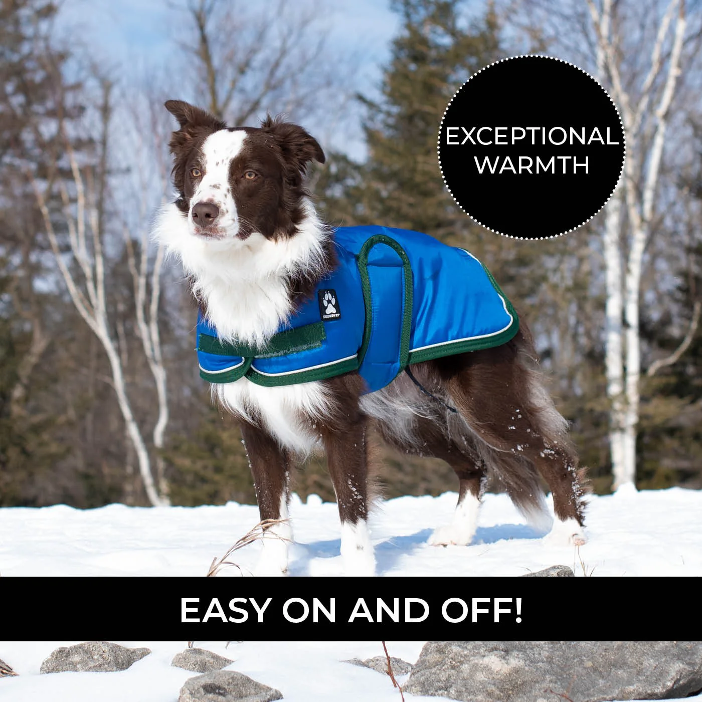 Shedrow K9 Vail Dog Coat - Image 5