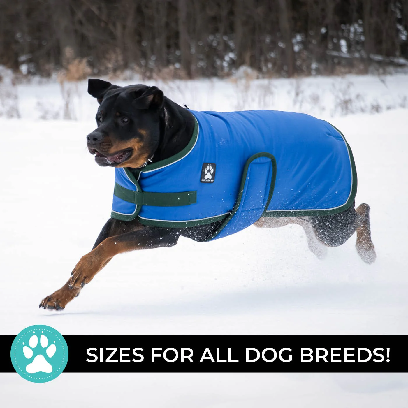 Shedrow K9 Vail Dog Coat - Image 6