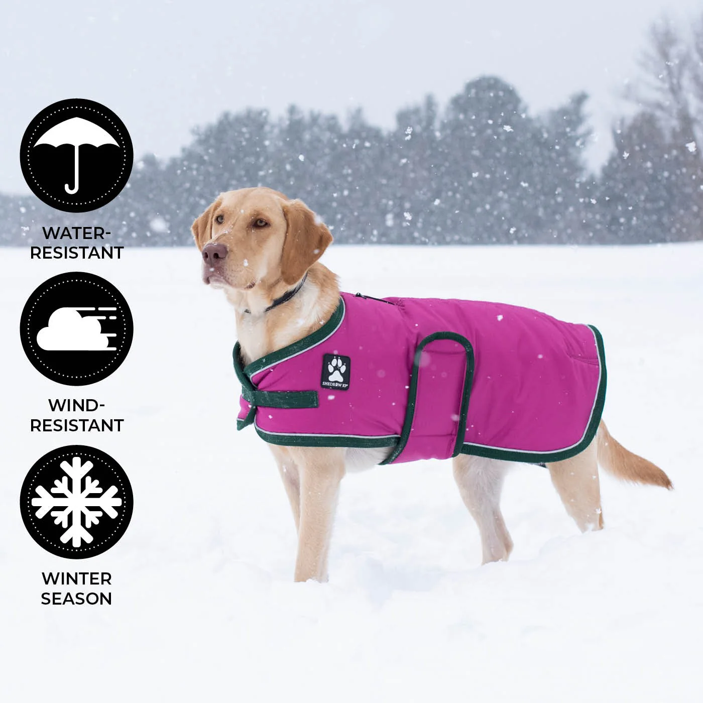 Shedrow K9 Vail Dog Coat - Image 9